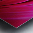 Pink Lady Metal print