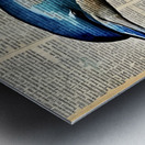 IMG 0979 Metal print