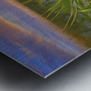 Magikheart Masterpiece  Metal print