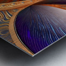 IMG 9459 Metal print