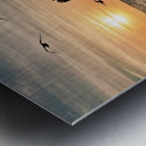 2023 11 13 07 38 28 Metal print