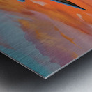 IMG 9351 Metal print