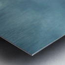 Eagle-Take Off Metal print