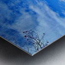 Blue Sky over the beach Metal print