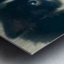 Black Main Coon Kitten Metal print