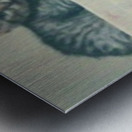 Family of Kittens Metal print