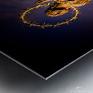 Czech Cesky Krumlov Square Statue Metal print