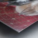 Cute Bunnies Metal print