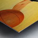 vintage basketball player hook shot art  Metal print