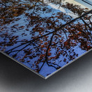 Winslow Park Golden Hour - Freeport Maine Wall Art Metal print