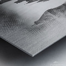 aaaaa854755 Metal print