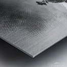 gflkklk55pp755 Metal print