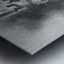 pppprrdsads4354899 Metal print