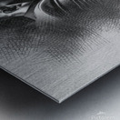 asa344434755 Metal print