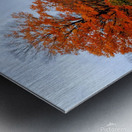 Autumn Road Metal print