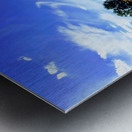 Sunflower Days Metal print