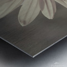 Wild Daisy Metal print