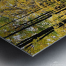 Fall Trail Metal print