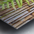 Hawaiian Fern Metal print