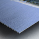 Grasshopper Metal print