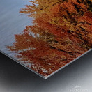 Autumn Road Metal print