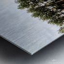 Into the Forest Metal print