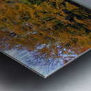 Running Sheep Metal print