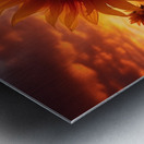 Blaze of Blooms – Dramatic Sunflower Sunset Print Metal print