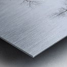 13 Tree in Winter Solitude Metal print