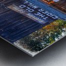 15 Pumpkins at Old Cider Mill  Metal print