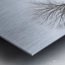 09 Winter on Horton Farm Metal print