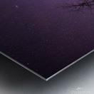 Winters Canopy: Stellar Skies Above Pinehouse Lakes Forest Metal print