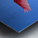 Spoonbille  12223 18 1 of 1 Metal print