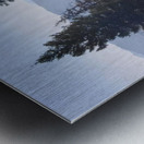 Out for a walk Metal print