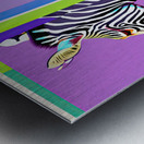 Three Zebras Metal print