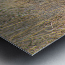 Follow Me Metal print