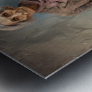 sassy 41 Metal print