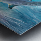 Dolphins in the ocean Metal print
