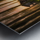 BACK IN THE SWAMP Metal print