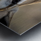 Elegance in Nature Metal print