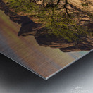 Natures Artistry Unveiled Metal print