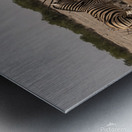 Natures Waterhole Clash Metal print