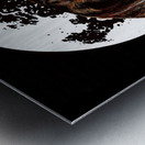 Labrador Metal print