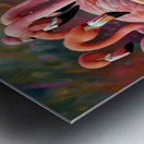 IMG 0100 Metal print