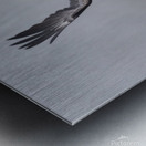 Eagle3 Metal print