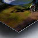 SNOWY EGRET Metal print