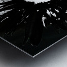 Dark Distressed Black and White Daisy on a Dark Distressed Background Metal print