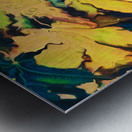 Abstract Acer Autumnal Leaves Metal print