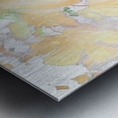 Faded Abstract Acer Autumnal Leaves Metal print