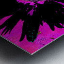 Black Abstract Daisy on a Pink Abstract Background Metal print